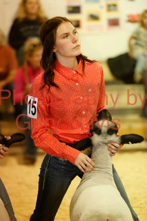 _MG_0127 (2)